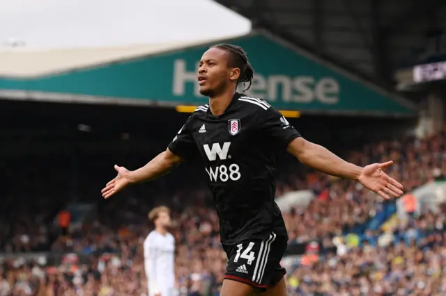 Bobby Reid celebrates putting Fulham ahead