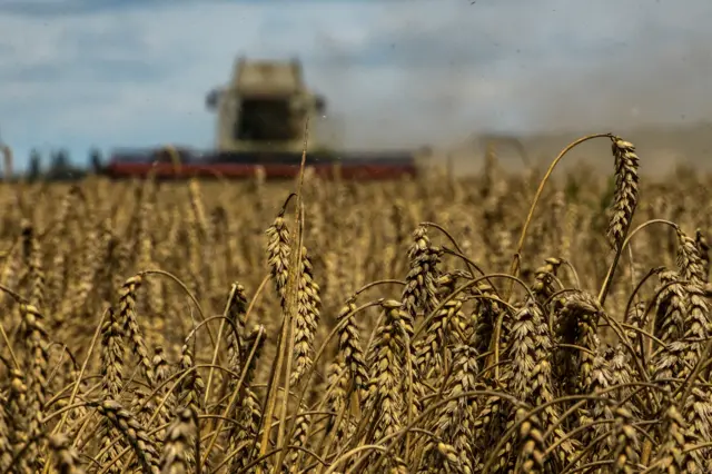 :A combine harvests wheat in a field near the village of Zghurivka, Ukraine