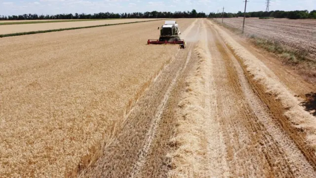 An aerial picture taken on July 21, 2022 shows a combine harvester in a wheat field near Mykolaiv