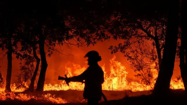 A firefighter attempts to put out a wildfire