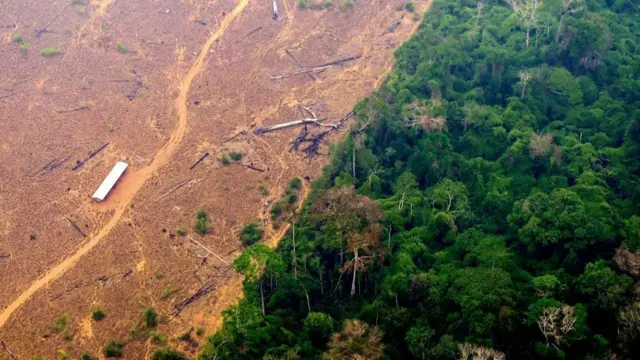 View of a deforested and burning area of the Amazon rainforest in September