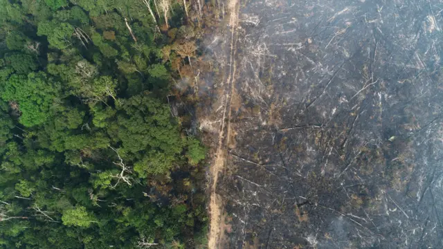 General view of a tract of the Amazon jungle which burns as it is cleared by loggers and farmers near Apui, Amazonas State, 2020