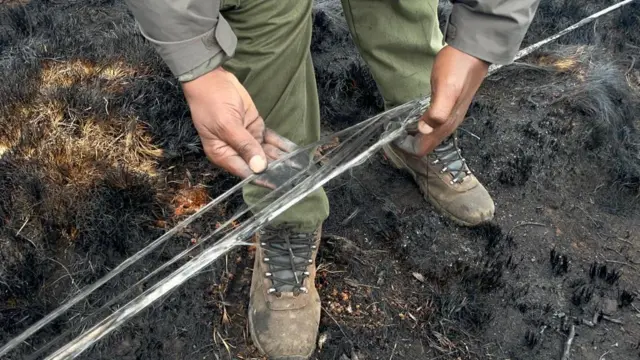 Fire on Mt Kilimanjaro