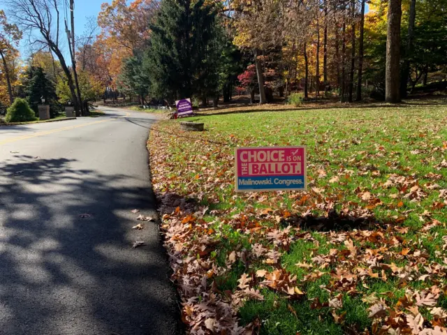 Photo of lawn sign that says 'Choice is on the ballot.'