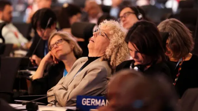 People attend the closing plenary at the COP27 climate summit in Red Sea resort of Sharm el-Sheikh, Egypt, 20 November 2022.