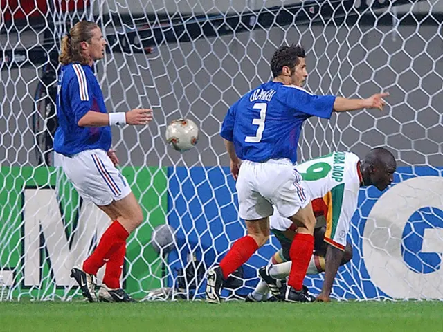 Pape Bouba Diop scores against France