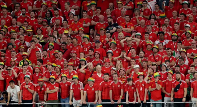 Wales fans in the crowd at the USA game