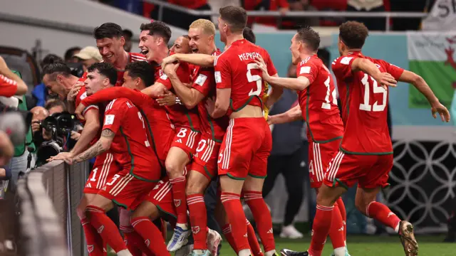 Wales celebration of USA goal