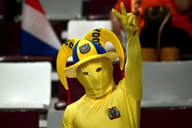 Ecuador fans