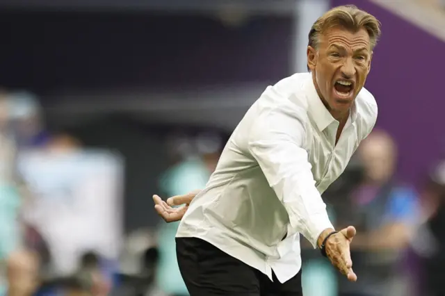 Suadi Arabia boss Herve Renard