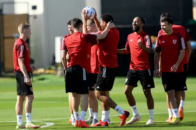 Wales training