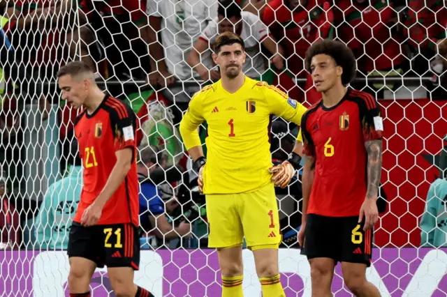 Belgium reacting to Morocco's goal