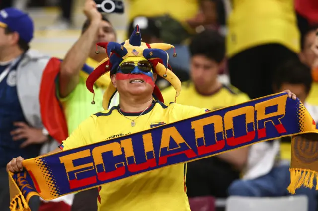 Ecuador fan