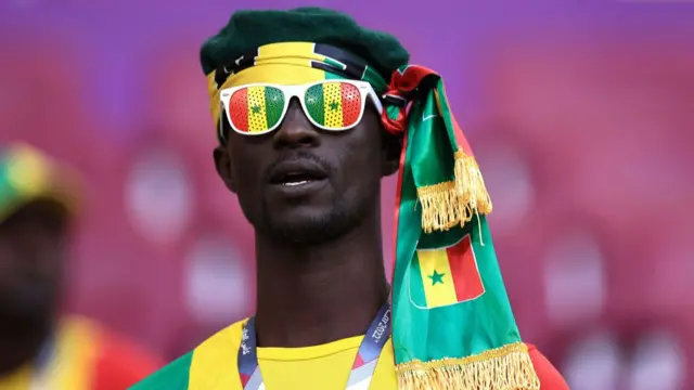 Senegal fan