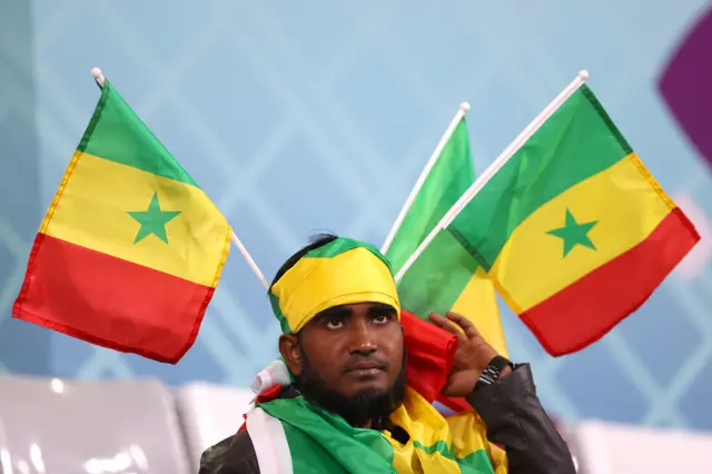 Senegal fan