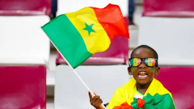 Senegal fan