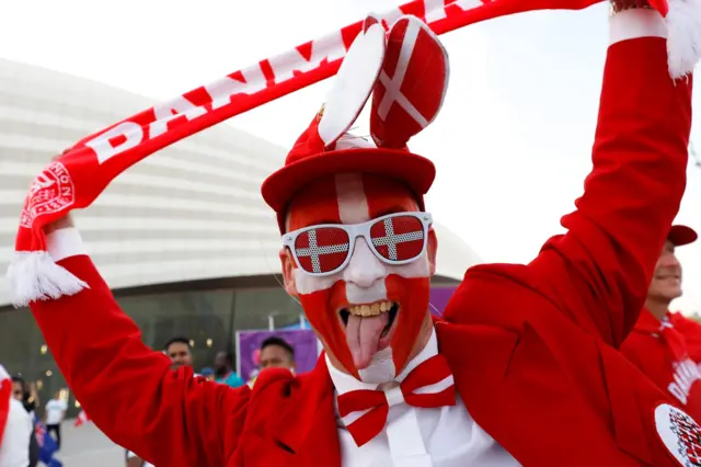 Denmark fan