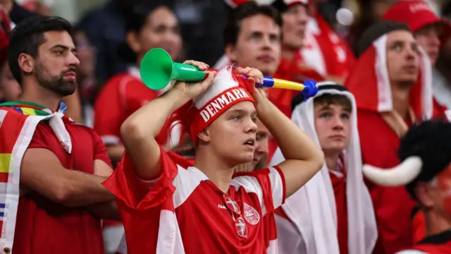 A Denmark fan