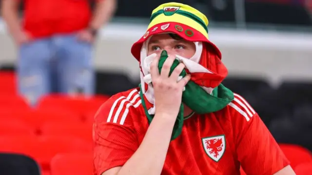 Wales fan looks dejected