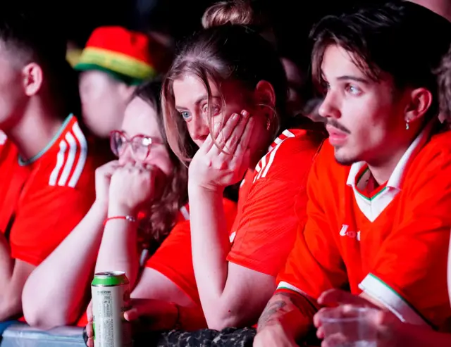 Wales fans look dejected