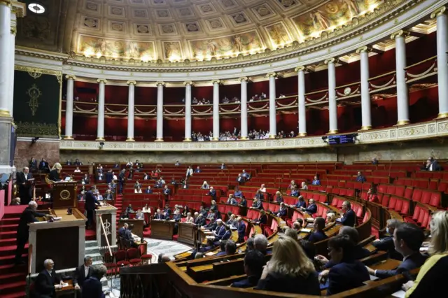 French parliament