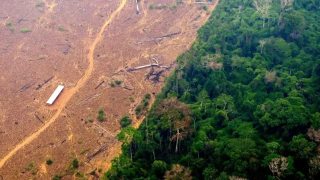 View of a deforested and burning area of the Amazon rainforest in the region of Labrea, state of Amazonas, northern Brazil, on September 2, 2022