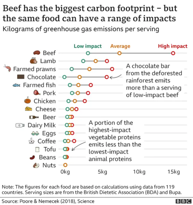 Chart showing the carbon footprints of different foods