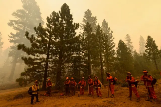 Prisoners are recruited to fight wildfires