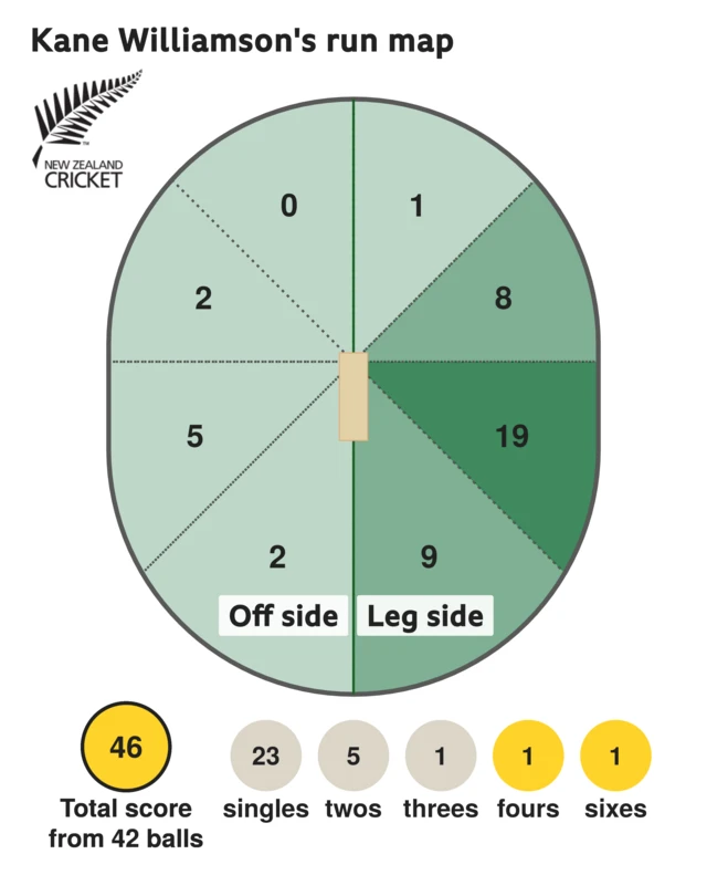 The run map shows Kane Williamson scored 46 with 1 six, 1 four, 1 three, 5 twos, and 23 singles for New Zealand