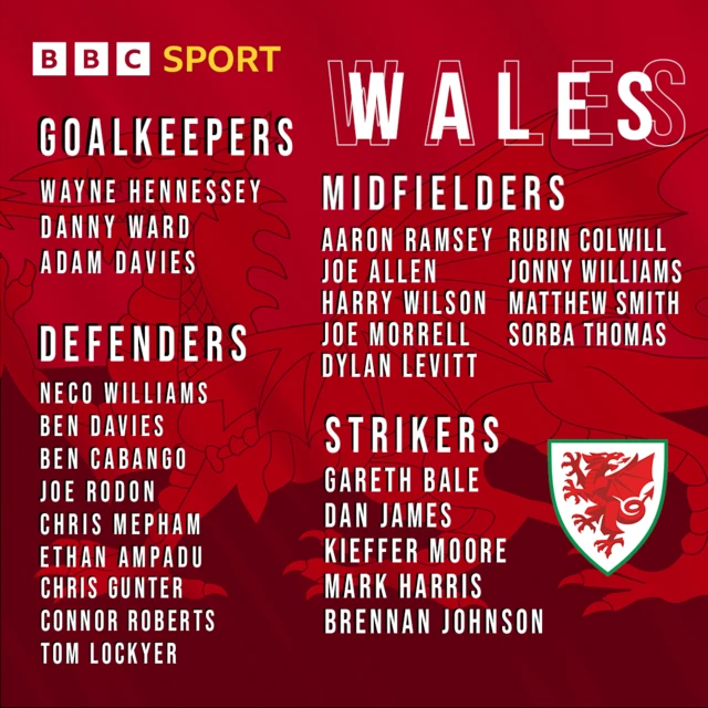 Wales squad graphic