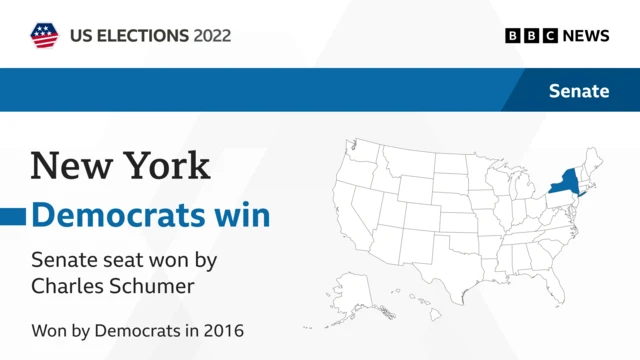 graphic of New York race