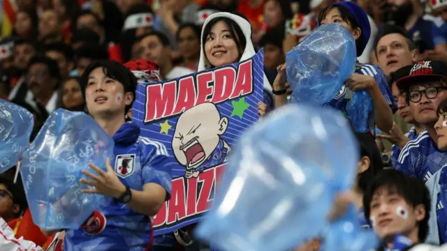 Japan fans