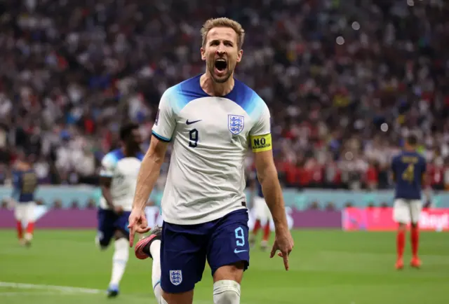 harry kane celebrates