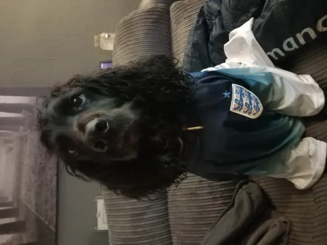 dog in England shirt