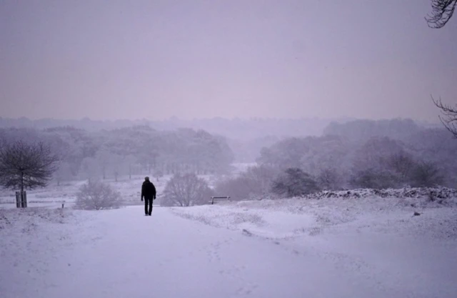 Richmond Park