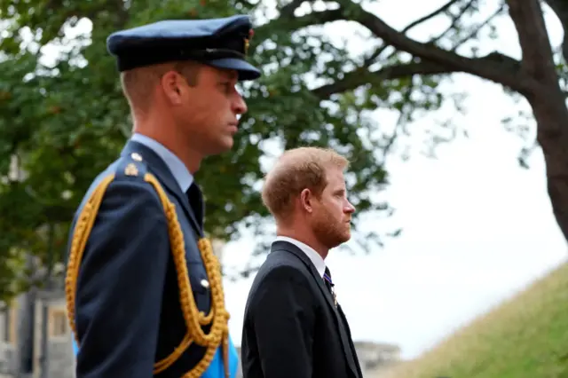 Princes William and Harry