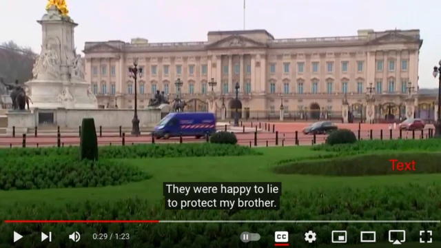 Screengrab from a Netflix trailer which includes a shot of Buckingham Palace and a subtitle saying "they were happy to lie to protect my brother"