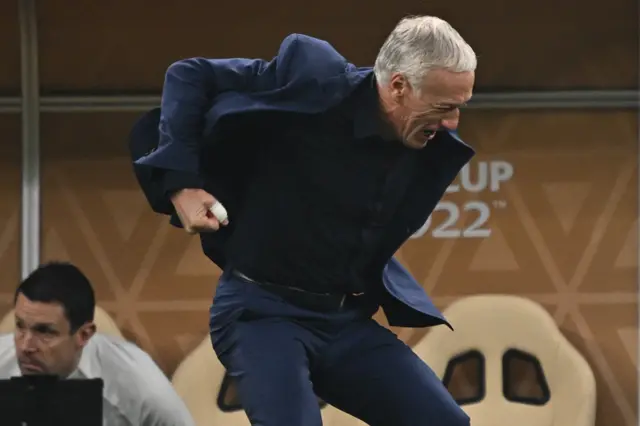 Didier Deschamps celebrates France equalising in the World Cup final