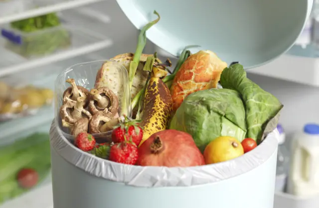 Food in waste bin