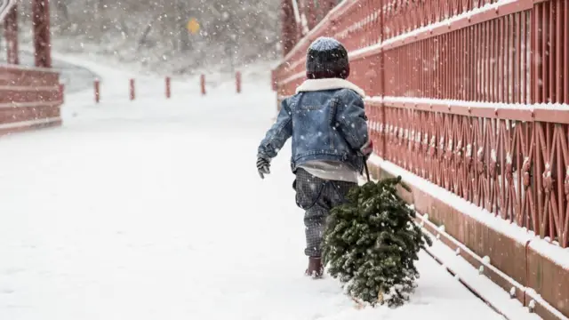 A child pulls a Christmas tree through a snowy scene