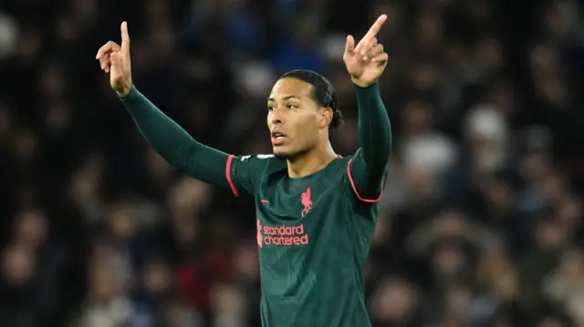 Virgil van Dijk gesturing