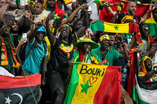 Senegal fans celebrate at the 2022 World Cup