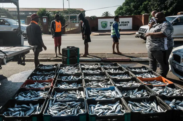 People at a a fish market