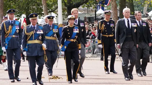 Members of the Royal Family pictured at the Queen's funeral