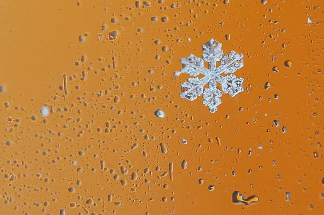 Snowflakes collect on a car window