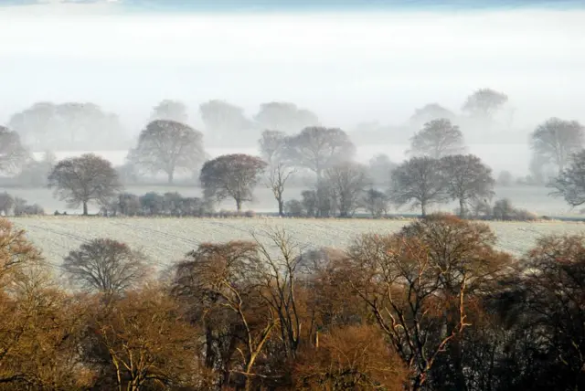 Frosty landscape