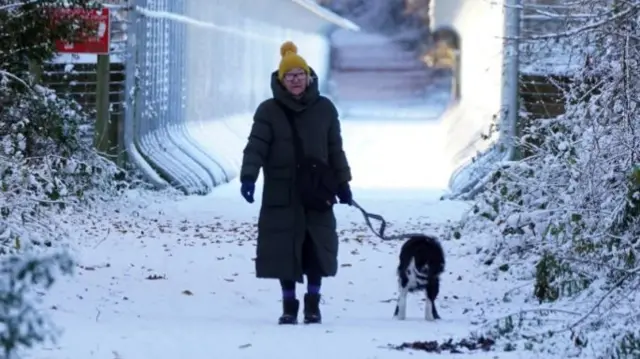 Woman walks her dog in Castleside Viaduct, Durham