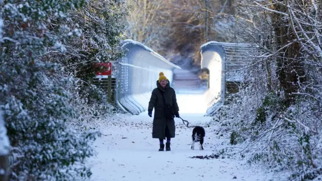 A woman walks her dog through snow over Castleside Viaduct in Durham