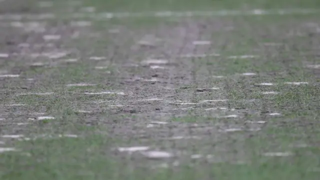 A close up of the Firhill pitch