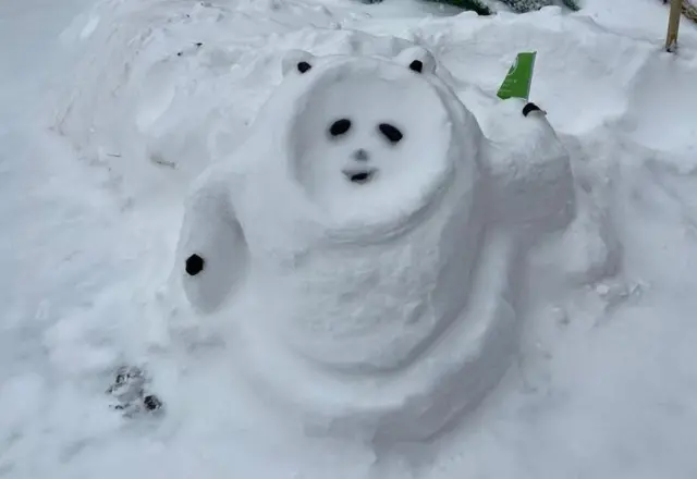 A snow man in panda shape